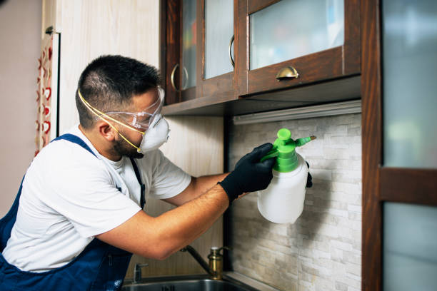 Best Cockroach Control Services  in San Diego, CA