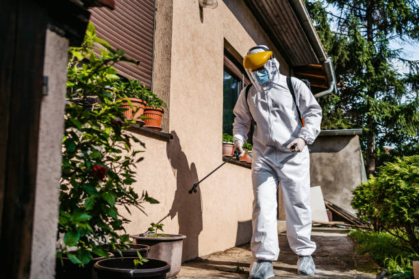 Flea Control Services in San Diego, CA