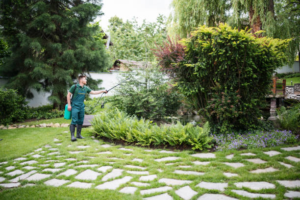 Best Best Pest Control Companies  in San Diego, CA