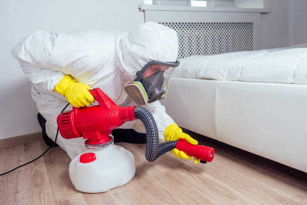 Best Rat Extermination Near Me  in San Diego, CA