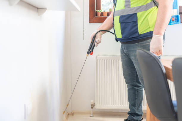 Best Affordable Pest Control Services  in San Diego, CA