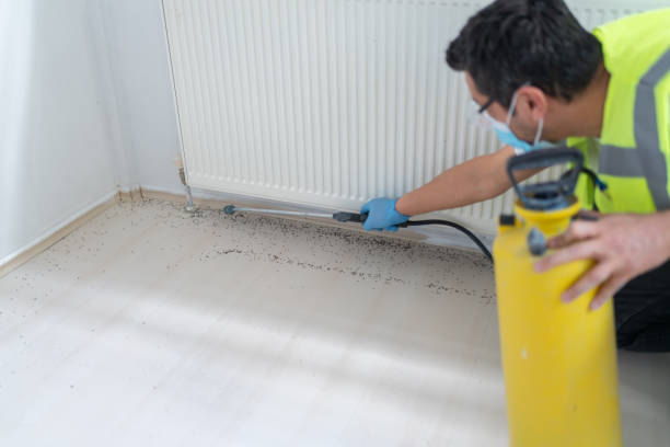 Best Cockroach Control Services  in San Diego, CA