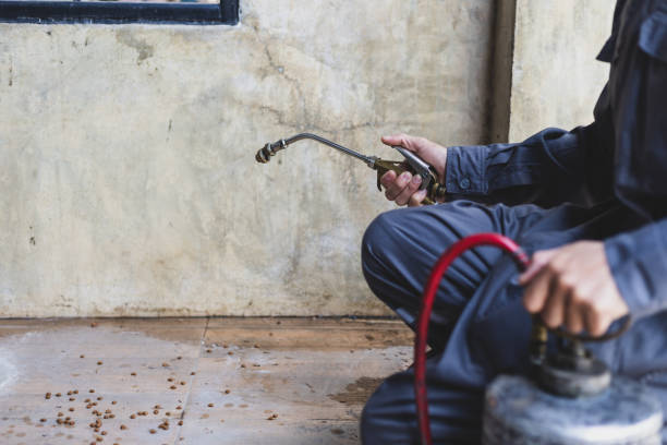 Trusted San Diego, CA Pest Control Experts