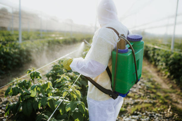 Best Residential Pest Control  in San Diego, CA